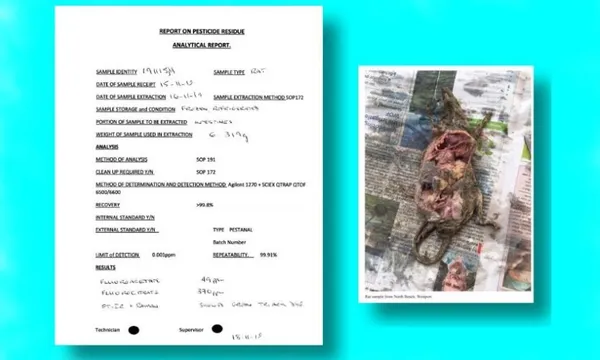 rat-report
