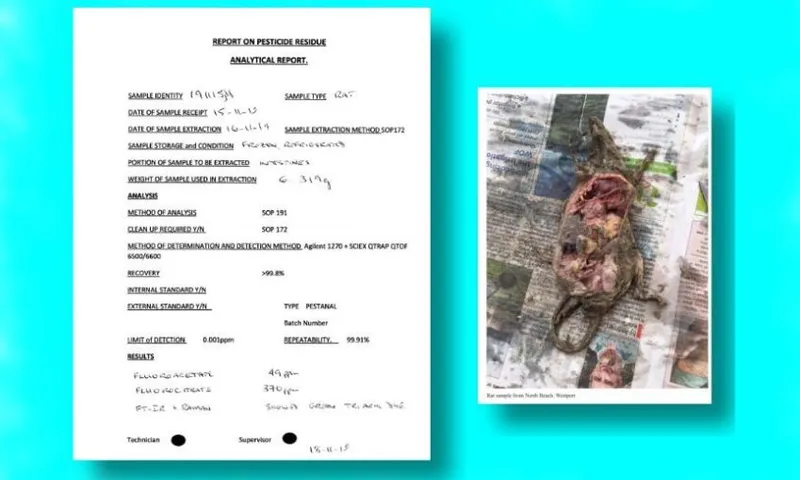 rat-report