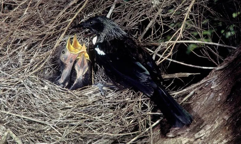 1200543tui3