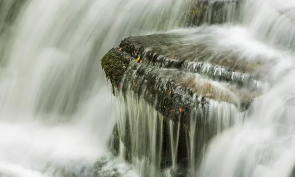 Water Flowing over Rock in McLean Falls, Catlins Forest Park, Southland Region, South Island, New Zealand