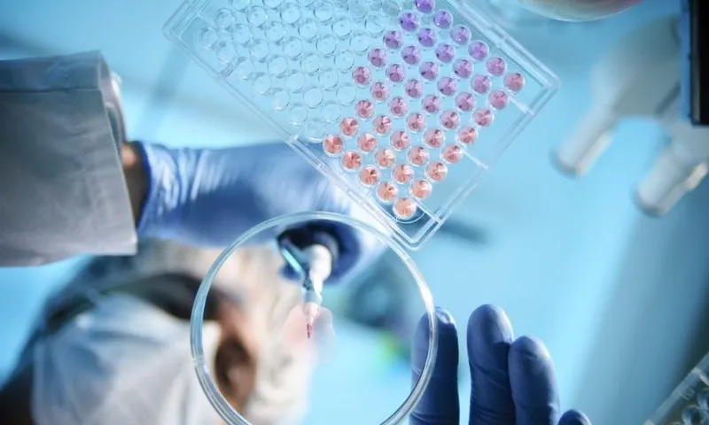 Lab Experiment
