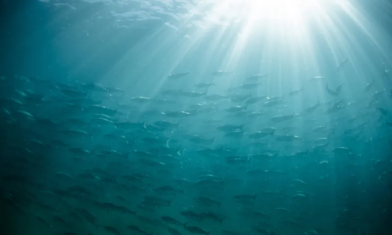 Underwater light