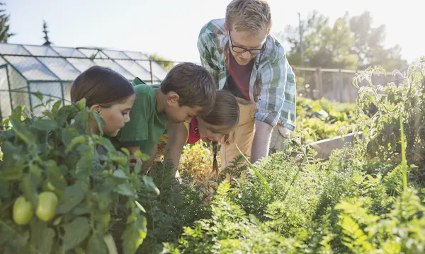 Teacher and students looking at plants in community garden