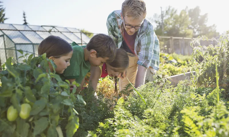 Teacher and students looking at plants in community garden