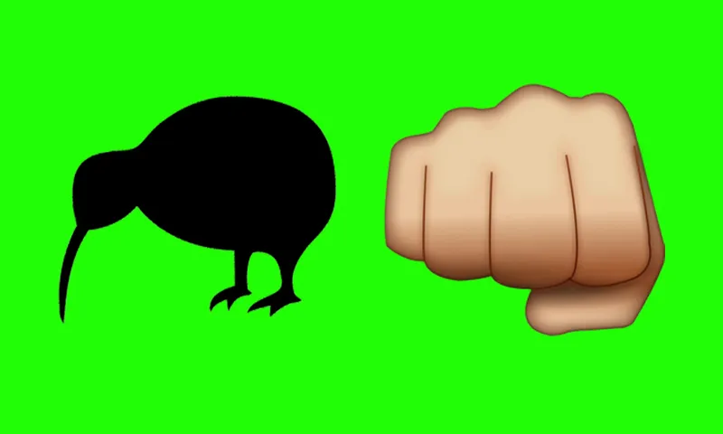 kiwifist