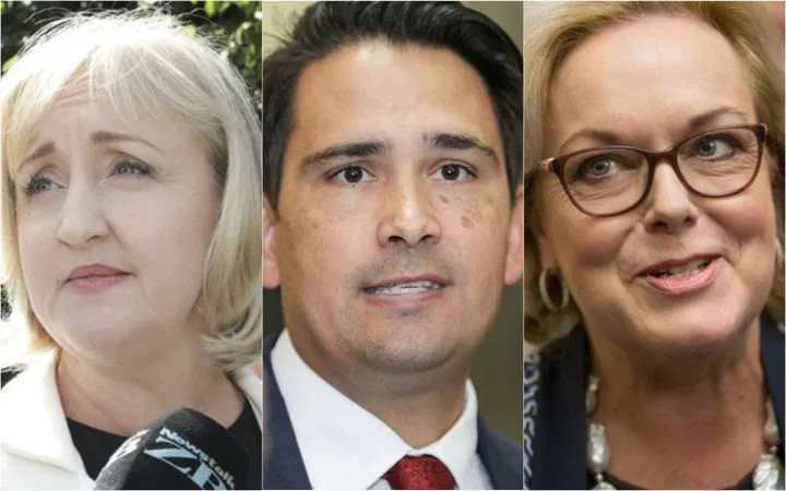 Judith Collins Amy Adams Simon Bridges Radio NZ RNZ