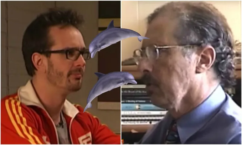dolphinfeat