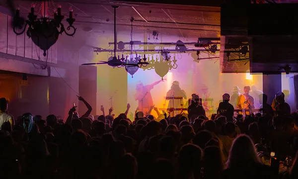 The New Dunedin Sound