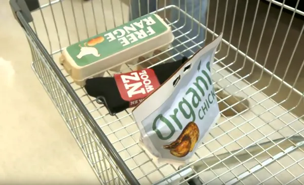 greenwashing