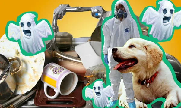 meth testing image tina t