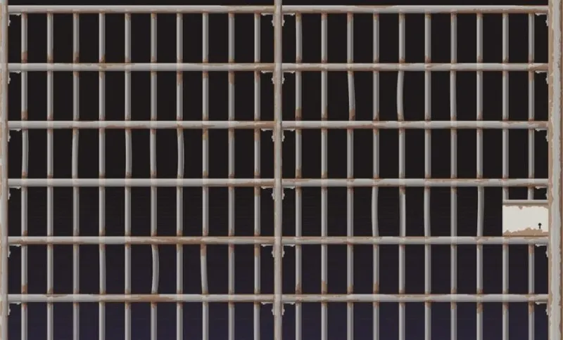 Prison door