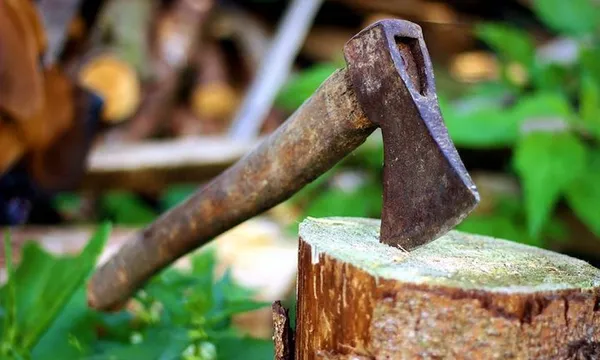 hatchet