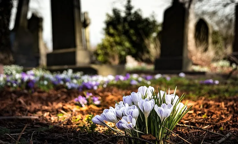 cemetery