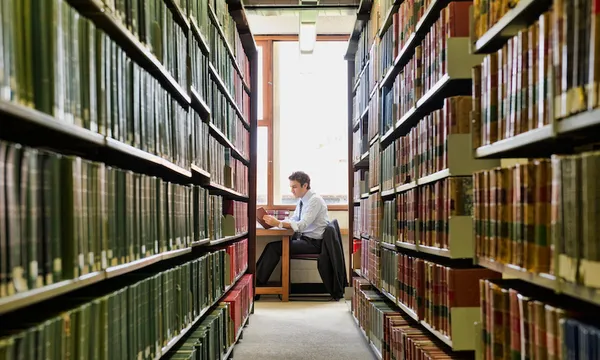 Lawyer doing research in library