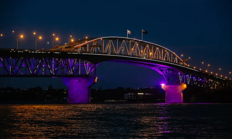 Harbour Bridge Waitangi Lights