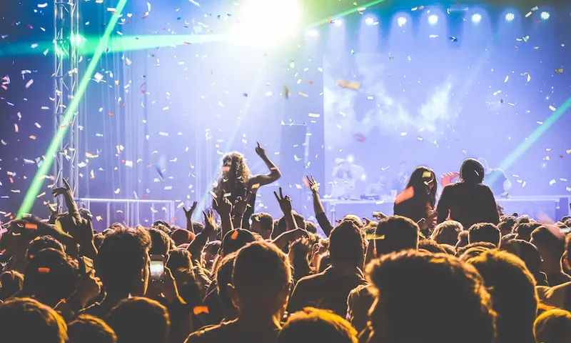 Crowd At Music Concert