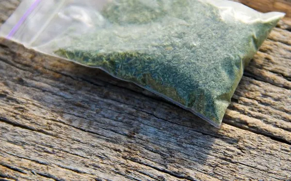 synthetic weed