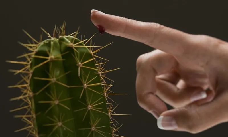 Young woman’s hand touching cactus spike