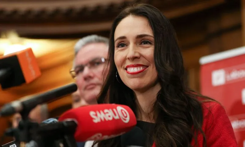 Andrew Little Quits As Labour Party Leader