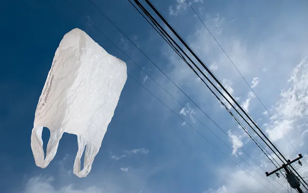 Flying Grocery Bag