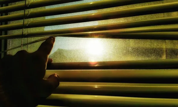 Close-Up Of Person Looking Out The Window