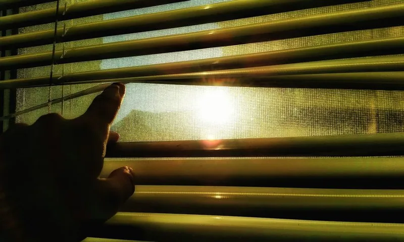 Close-Up Of Person Looking Out The Window