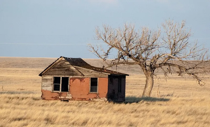 house