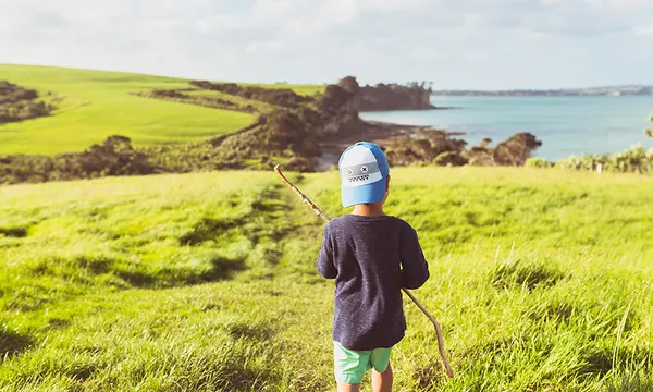 Long Bay, Auckland, New Zealand.