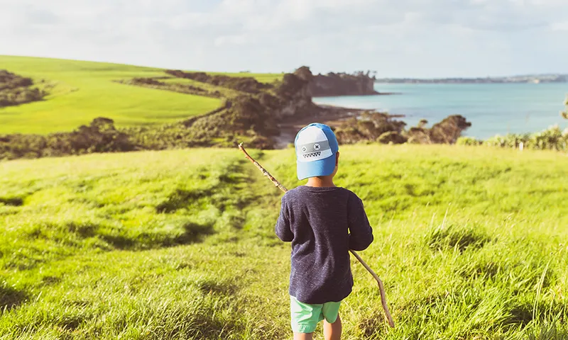 Long Bay, Auckland, New Zealand.