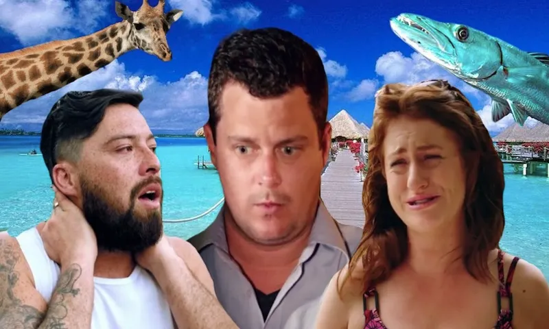 mafs2