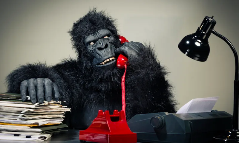 Gorilla Businessman