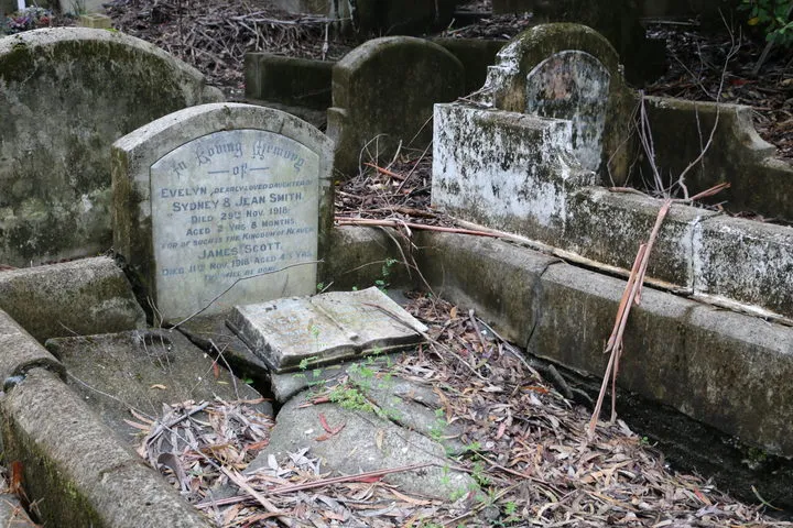 karori-cem
