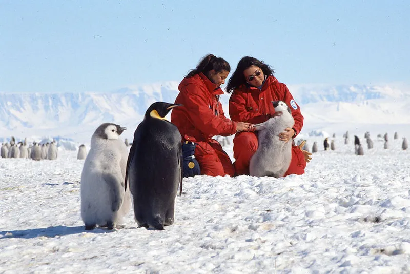 Zucchelli Station in Antarctica