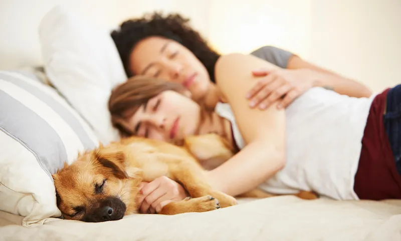 Young female couple and pet dog sleeping on bed