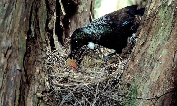 1200543tui2_0