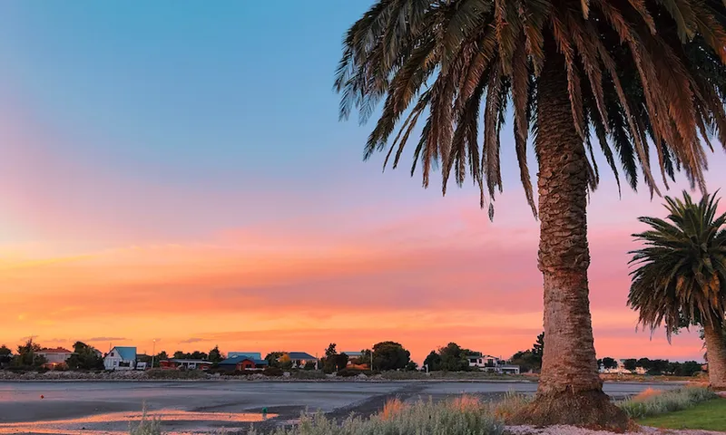 Palm Trees On Field Against Sky At Sunset