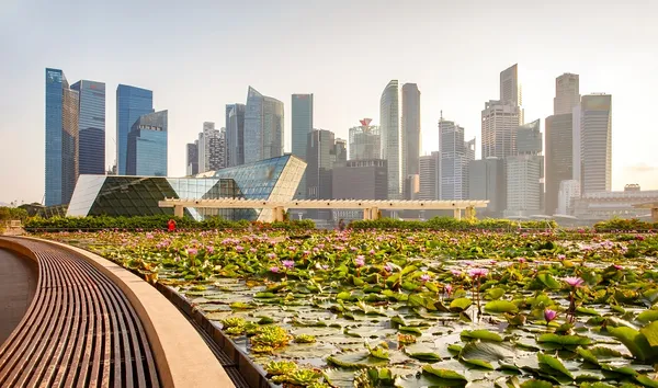 Singapore skyline of business district and Marina Bay in day, foreground with lotus pond