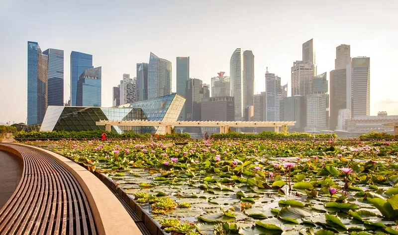 Singapore skyline of business district and Marina Bay in day, foreground with lotus pond