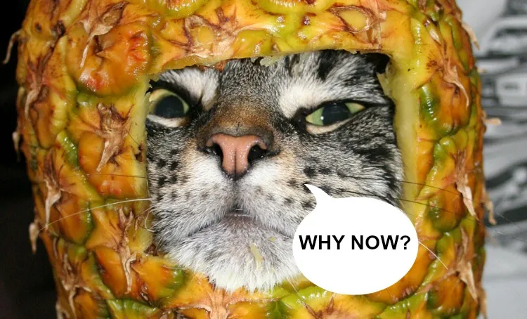 pineapple