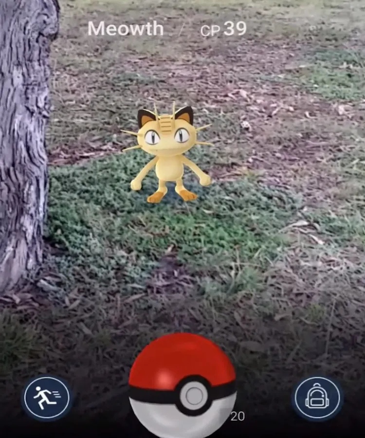 Pokeman