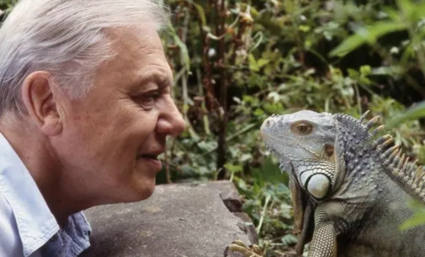 Sir-David-with-an-iguana-900×506