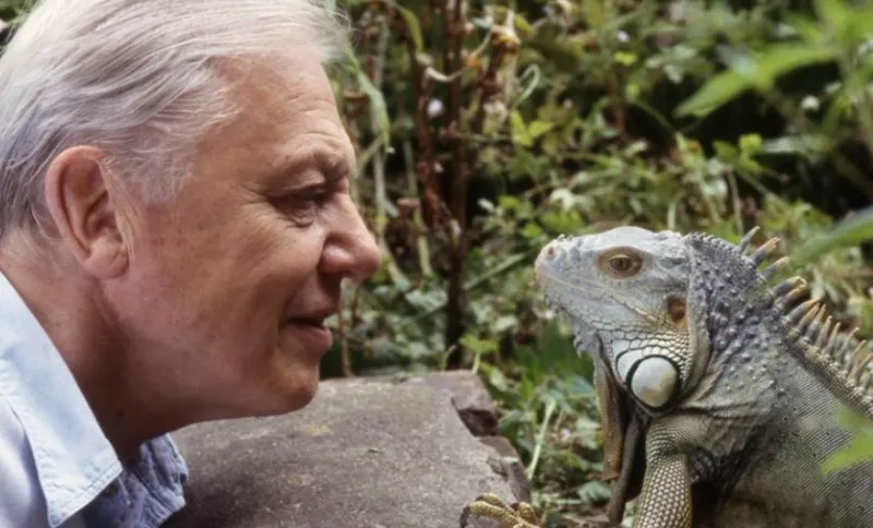 Sir-David-with-an-iguana-900×506