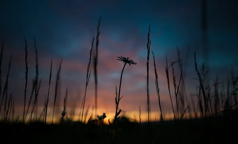 Hope