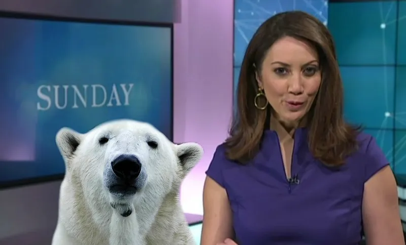 polar