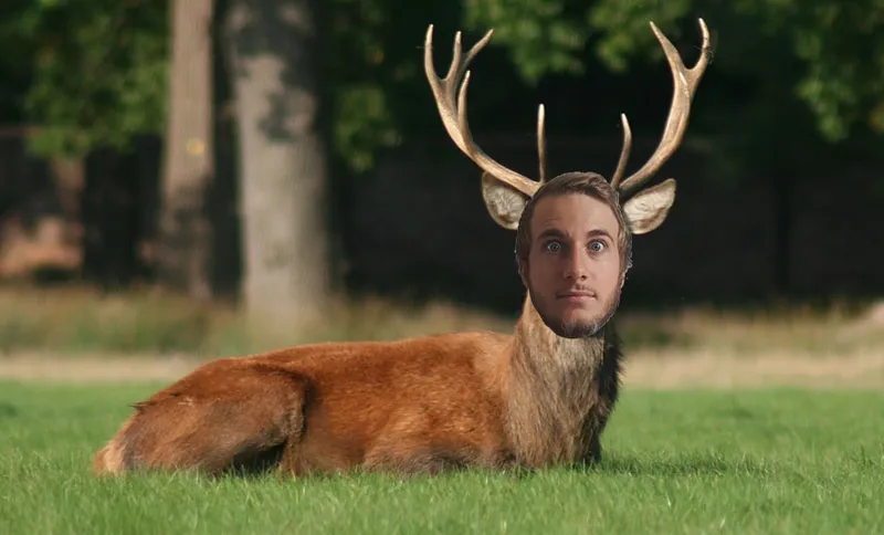 hunting feature image