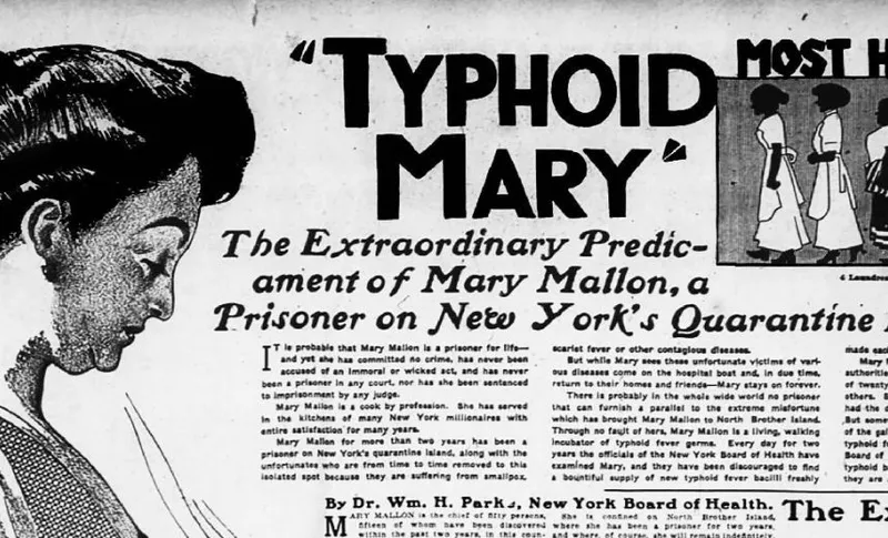 tyhphoidmary