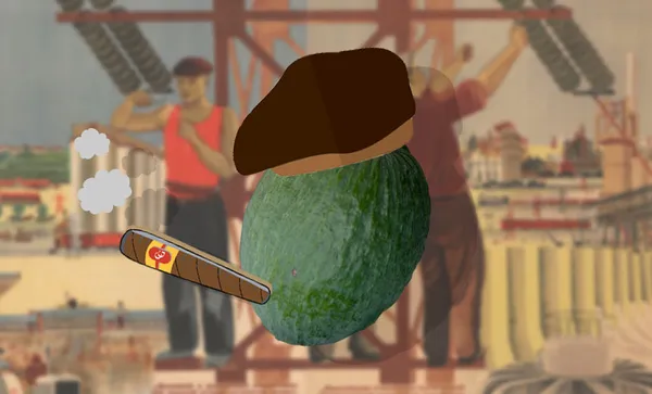 comrade_joa_001