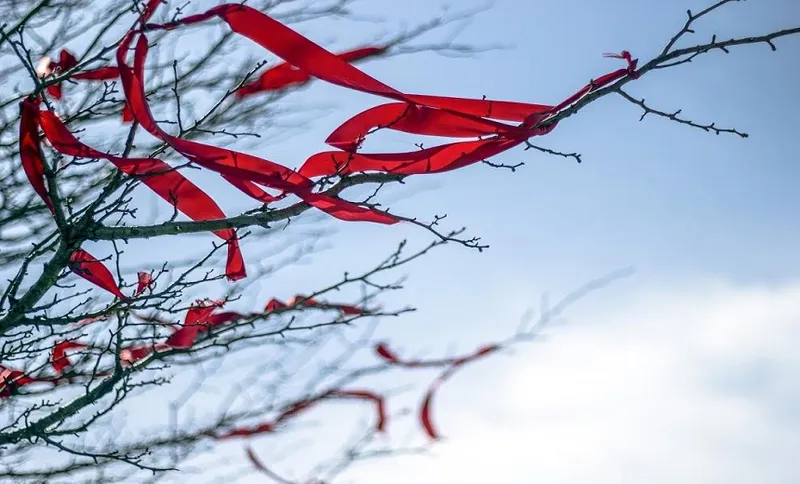 Ribbons