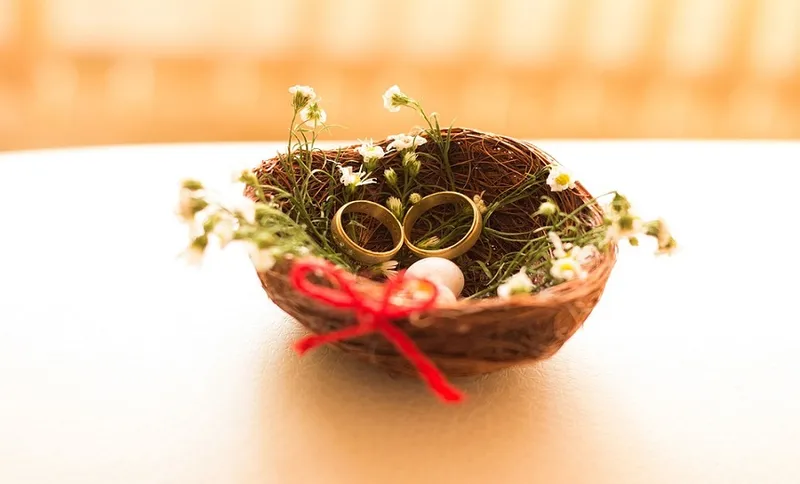 nest