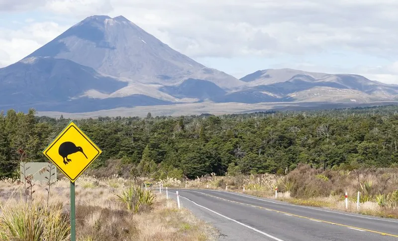 Kiwi Bird Road Sign